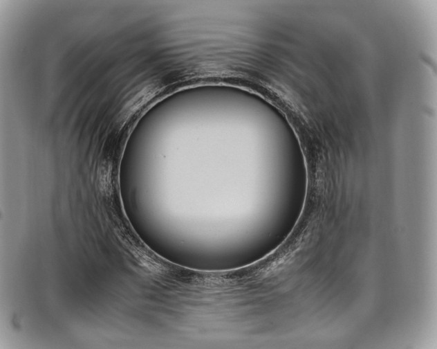 X0000098020873200803281332