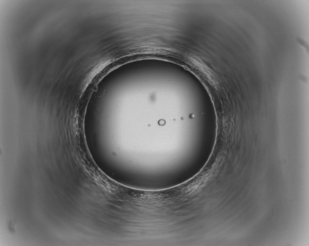 X0000098020875200803281332