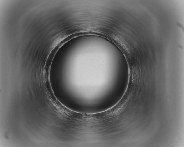 X0000098020876200803281332