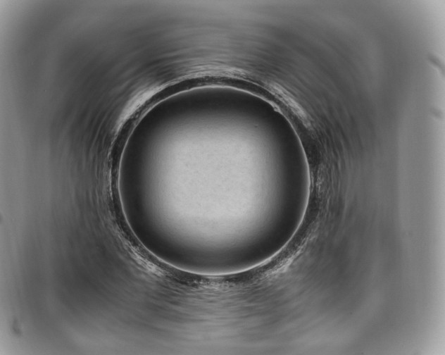 X0000098020877200803281332