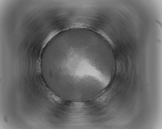 X0000098020878200803281332