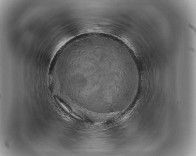 X0000098020879200803281332