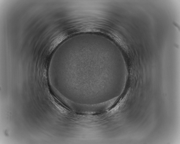 X0000098020881200803281332