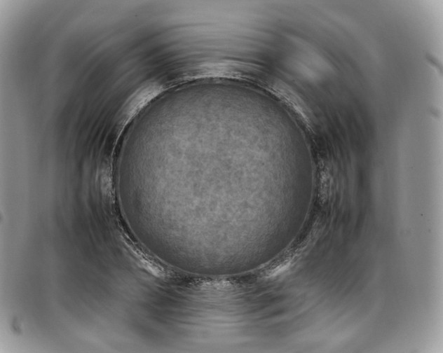 X0000098020882200803281332