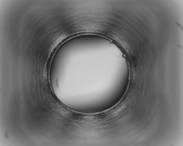 X0000098020883200803281332