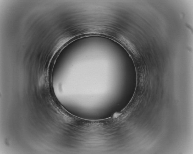 X0000098020884200803281332