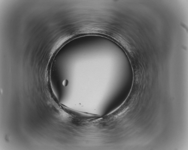 X0000098020885200803281332