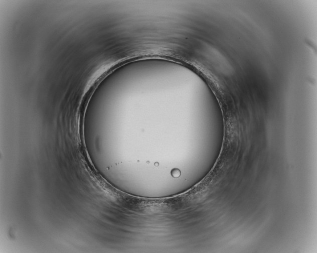 X0000098020886200803281332