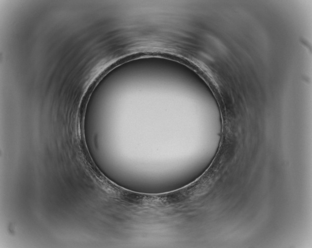 X0000098020887200803281332