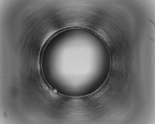 X0000098020888200803281332