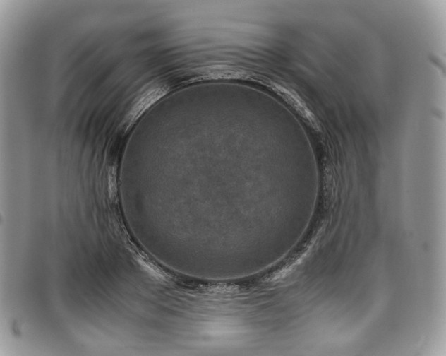 X0000098020889200803281332