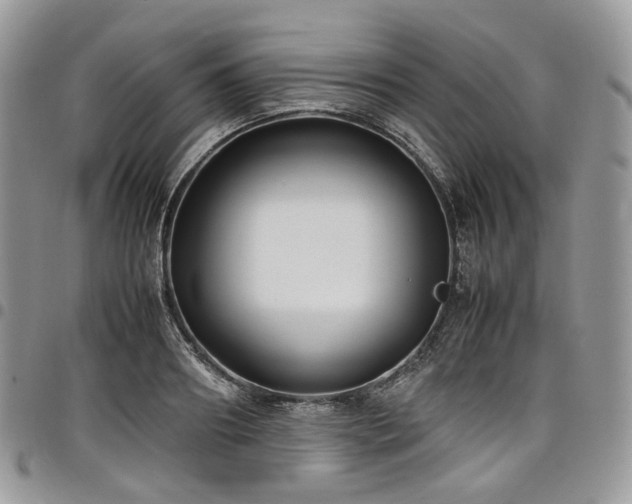 X0000098020890200803281332