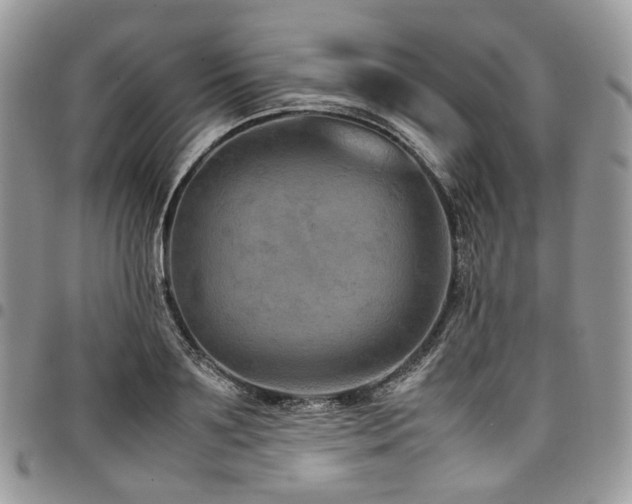 X0000098020891200803281332