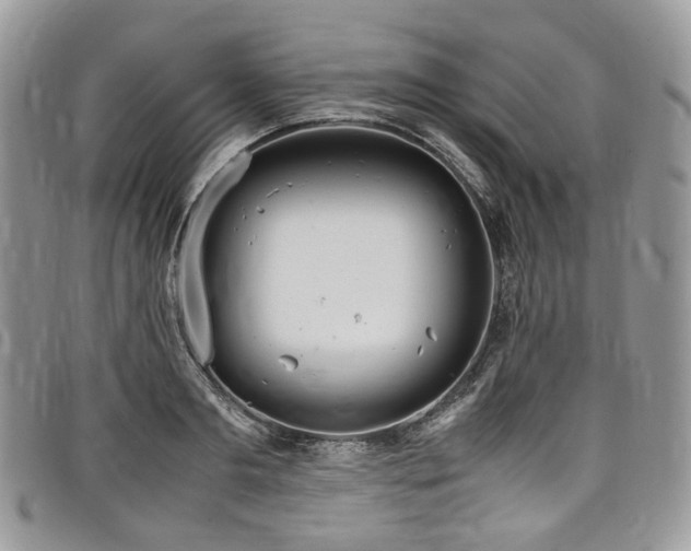 X0000098020893200803281332