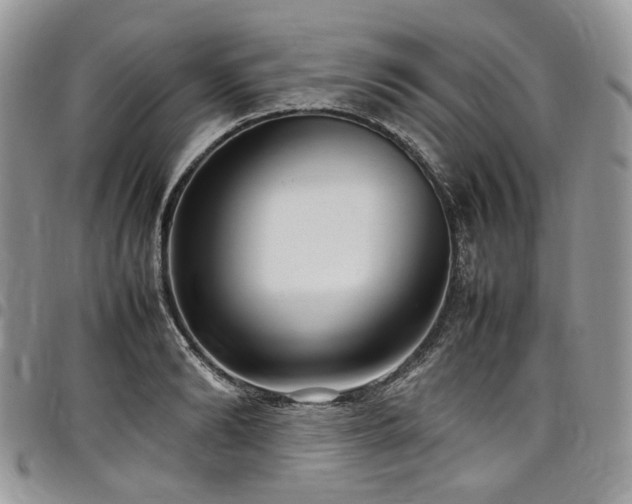 X0000098020894200803281332