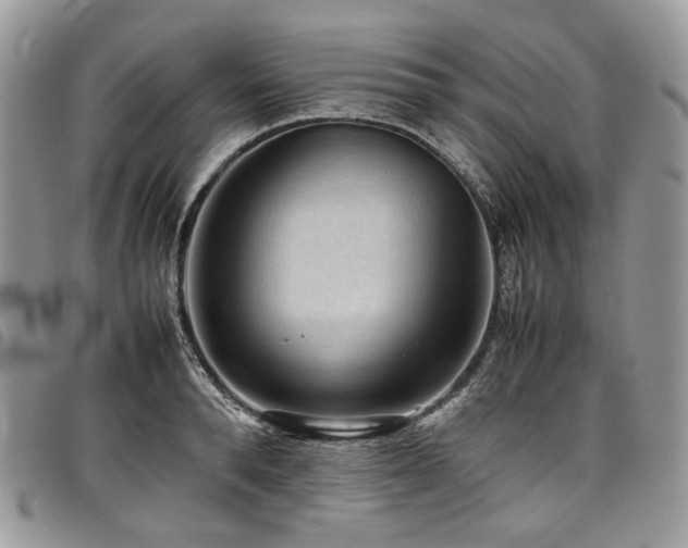 X0000098020896200803281332