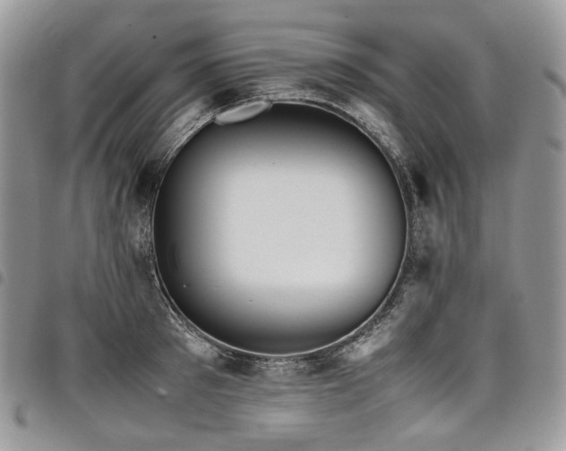 X0000098020897200803281332