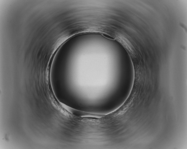 X0000098020900200803281332