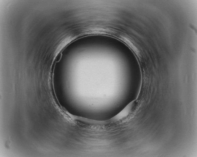 X0000098020901200803281332