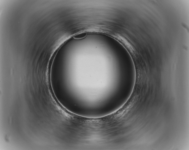 X0000098020902200803281332