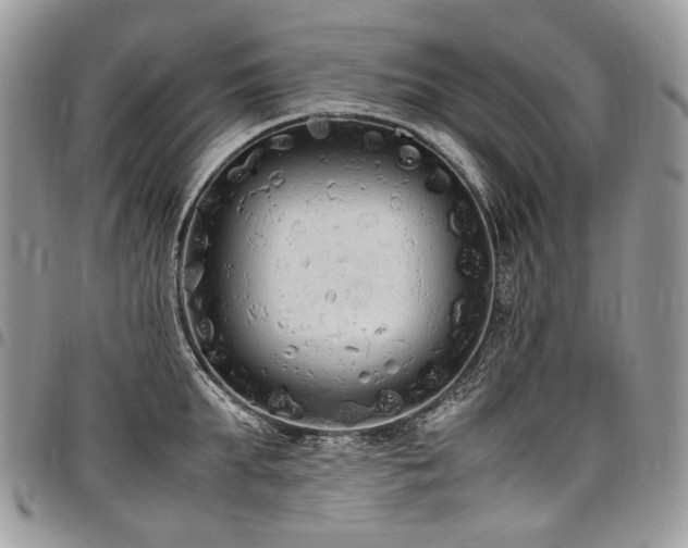 X0000098020903200803281332