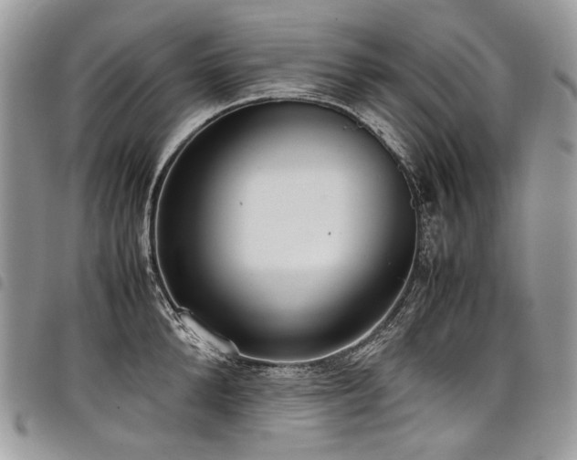 X0000098020904200803281332