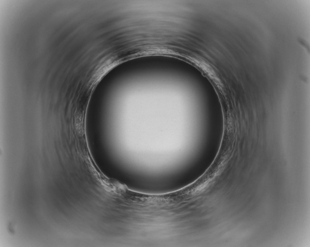 X0000098020905200803281332