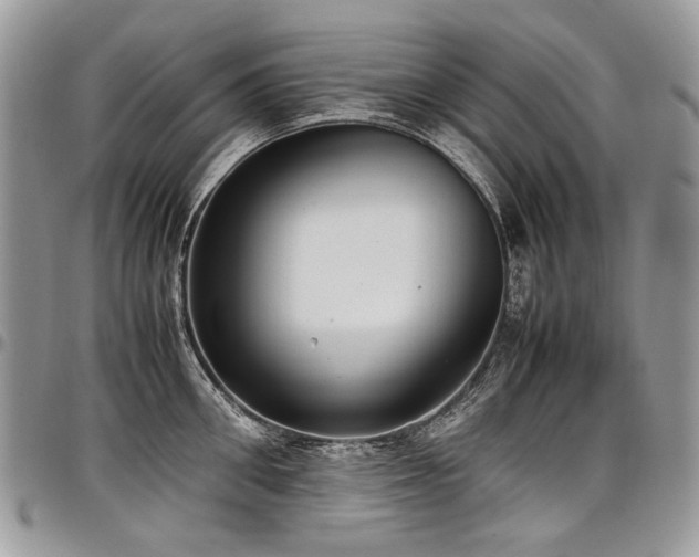 X0000098020906200803281332