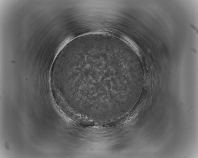 X0000098020907200803281332