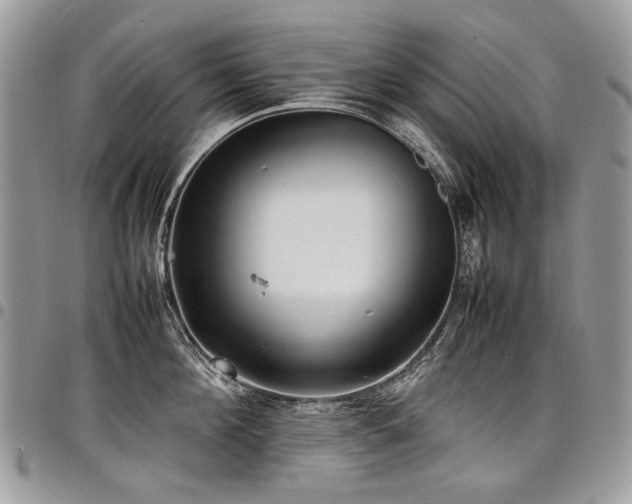 X0000098020908200803281332