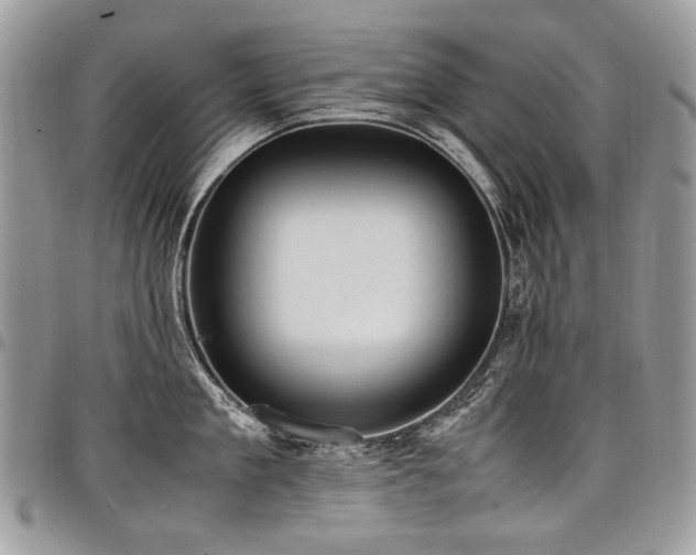 X0000098020909200803281331