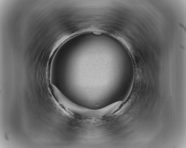 X0000098020910200803281331