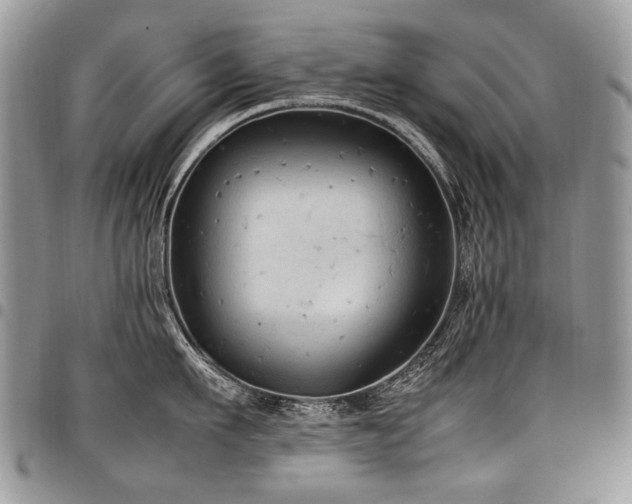 X0000098020911200803281331