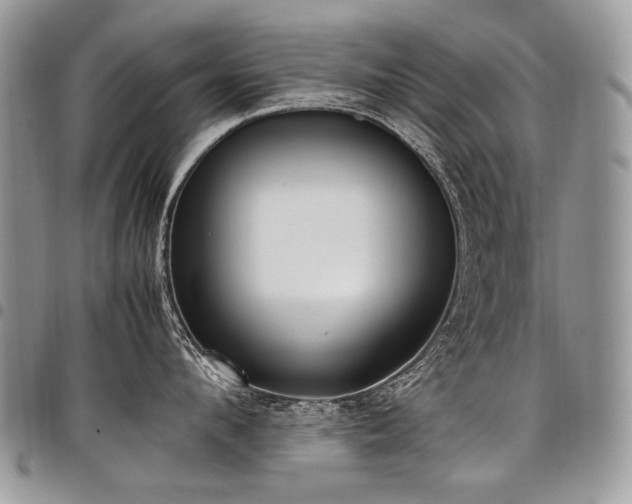 X0000098020912200803281331