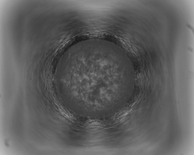 X0000098020913200803281331