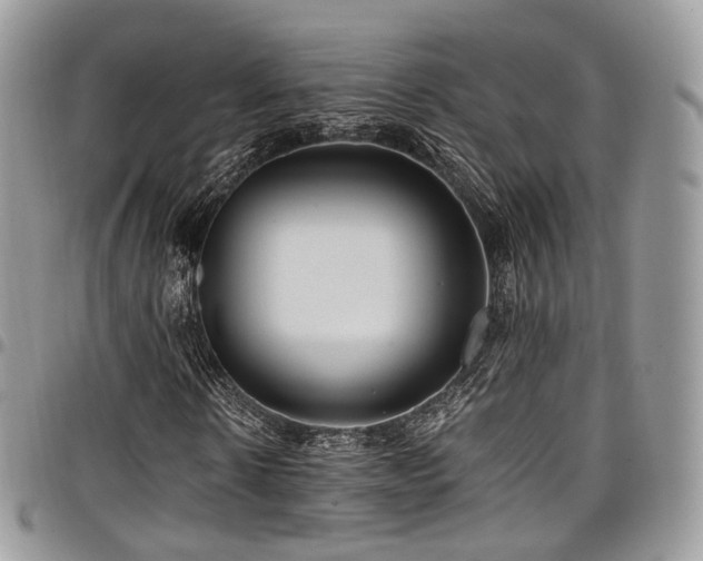 X0000098020914200803281331