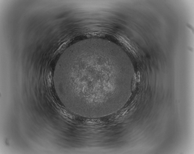 X0000098020915200803281331