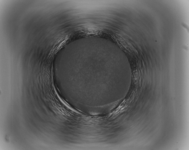 X0000098020916200803281331