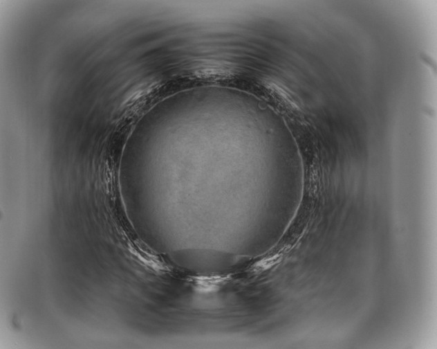 X0000098020917200803281331