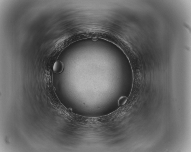 X0000098020918200803281331