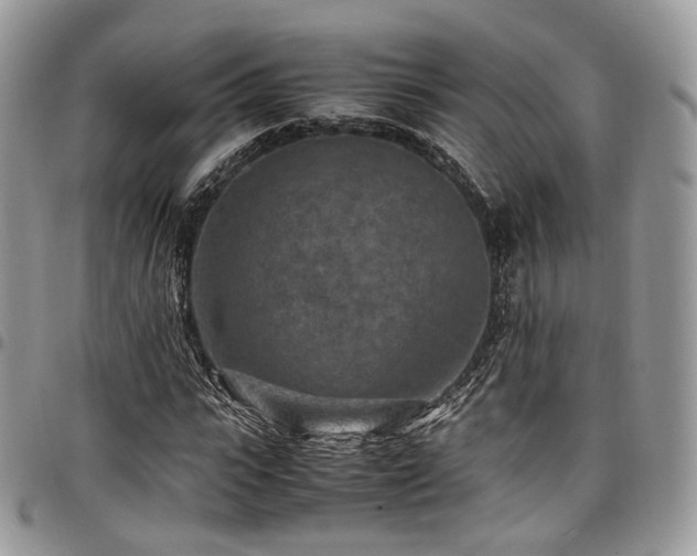 X0000098020919200803281331