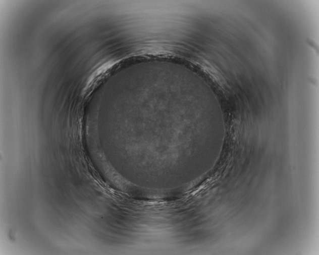 X0000098020920200803281331