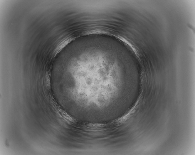 X0000098020921200803281331