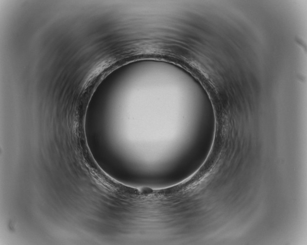 X0000098020922200803281331