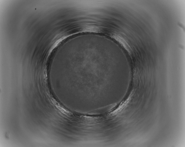 X0000098020923200803281331