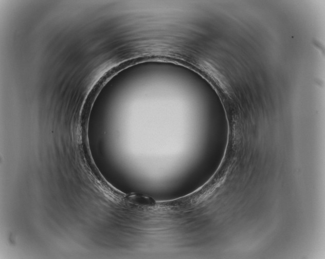 X0000098020924200803281331