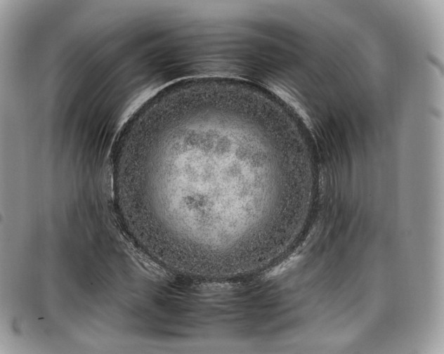 X0000098020925200803281331