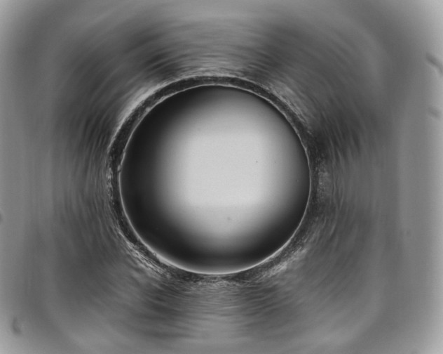 X0000098020926200803281331