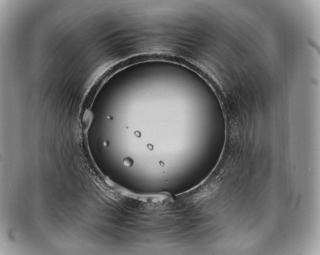 X0000098020927200803281331