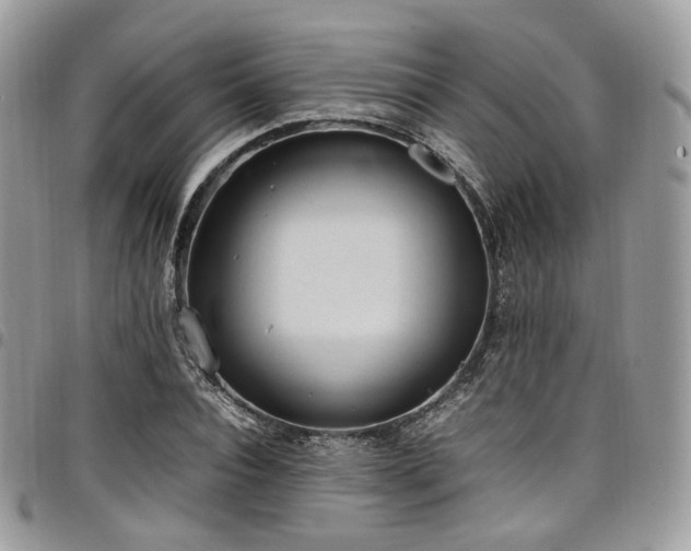 X0000098020928200803281331